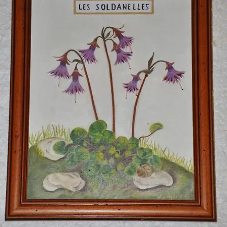 Chalet Les Soldanelles